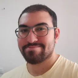 Mohammad H. Esfandyari