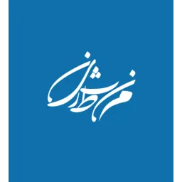 مجتبی محمدی