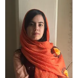 آرمینا مرندی