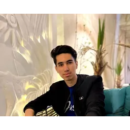 mahdi.ghorbani