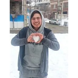 دانیال بنگری