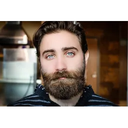 رامین محمودی