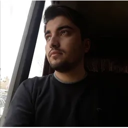 Amirhossein Borji