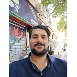 مهدی زینی