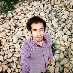 علیرضا سلطانیان