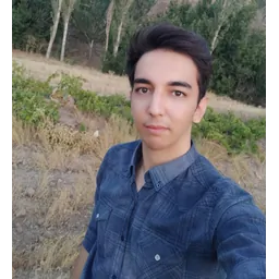 Faraz Roshannahad