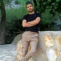 ویریا رستمی ، طراح سایت و گرافیست