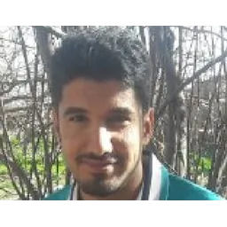 hesam-shafie