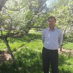 ناصر پاشائی