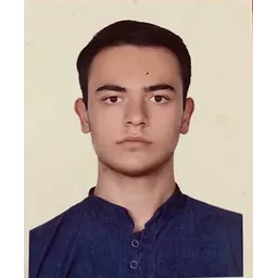 علی ابراهیمی