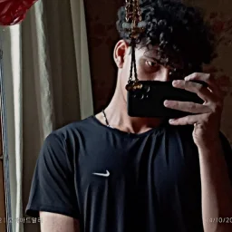 MohammadAli Amiripour